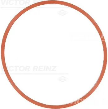Spojovací materiál motoru Těsnění sacího potrubí - koleno VICTOR REINZ 71-24335-00