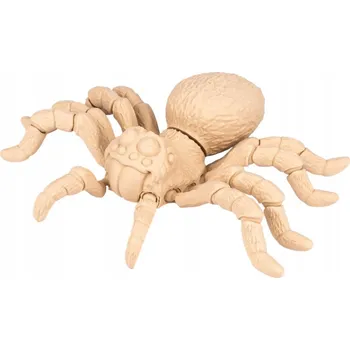 omalovánky Tarantule | pohyblivá 3D omalovánka + barvy a štětec