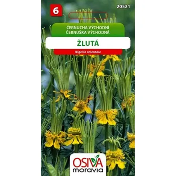 Pěstitelství OSIVA MORAVIA s.r.o. ČERNUCHA VÝCHODNÍ - žlutá 0,8 g EXP. 12/2025