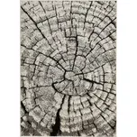 Kusový koberec PHOENIX 6021 - 0244 200x300cm šedá