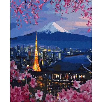 Malování podle čísel iPicasso 40x50 cm na rámu