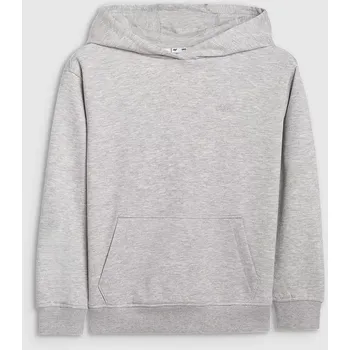 Chlapecká mikina 4F chlapecká mikina s kapucí 4FJWMM00TSWSM1860 (146) (146, šedá)