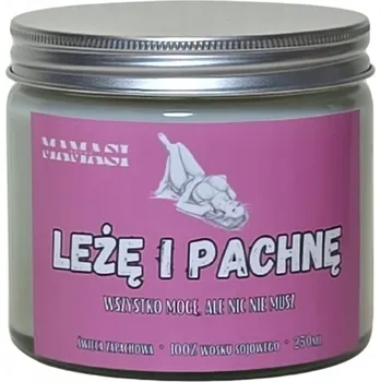 Svíčka LEŽÍM A VONÍM - svíčka, sójová svíčka 100% vonná 250ml velká
