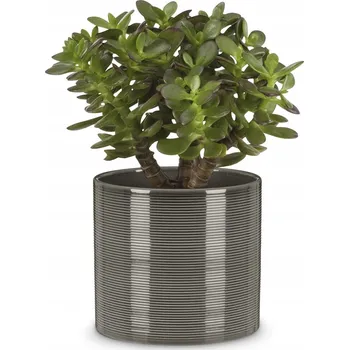 Květináč Květináč 12 cm keramický šedý