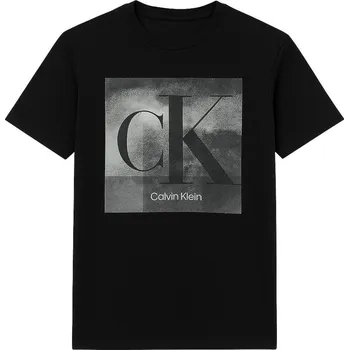 Calvin Klein Pánské Tričko Graphics Logo Signature blk