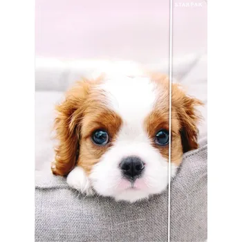 Desky s gumou A4 CUTIES DOGGY Štěně Pejsek Starpak Pro děti do školy