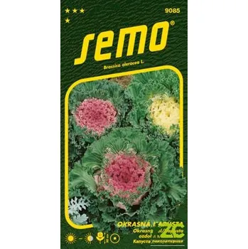 Semeno SEMO KAPUSTA OKRASNÁ - SMĚS BAREV 0.5 g EXP. 12/2025
