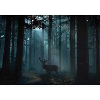 Fototapeta FOTOTAPETA LES JELEN ZVÍŘATA DO LOŽNICE OBÝVÁKU TAPETA VLIESOVÁ 350x250