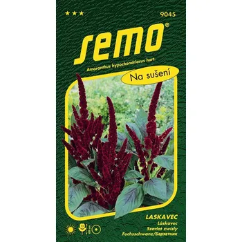 Semeno SEMO LASKAVEC PYGMY TORCH - ocasatý 0.5 g EXP. 12/2025