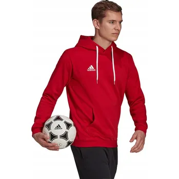 Pánská mikina Adidas pánská mikina Entrada 22 Fleece Hoodie, velikost L