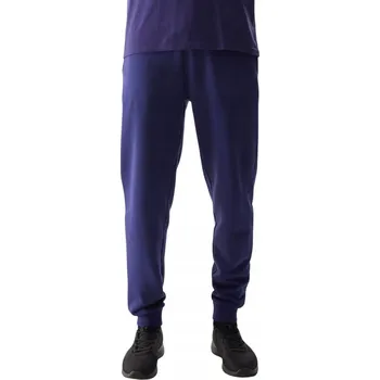 Pánské kalhoty Dlouhé tréninkové kalhoty 4F S, vícebarevné