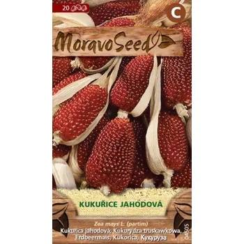 Semeno MORAVOSEED CZ a.s. KUKUŘICE JAHODOVÁ 2 g EXP. 12/2025