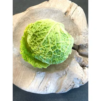 Sazenice BIO hlávková kapusta, min. 450 g