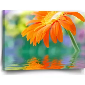 Obraz Sablio Obraz Oranžová gerbera - 60x40 cm