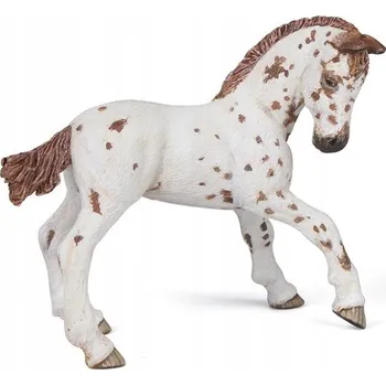 HŘÍBĚ APPALOOSA - Hnědé hříbě appaloosa PAPO 51510