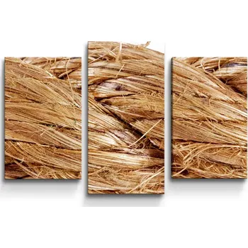 Obraz Sablio Obraz - 3-dílný Provaz - 75x50 cm