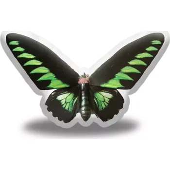 Polštář Sablio 3D polštář ve tvaru Motýl