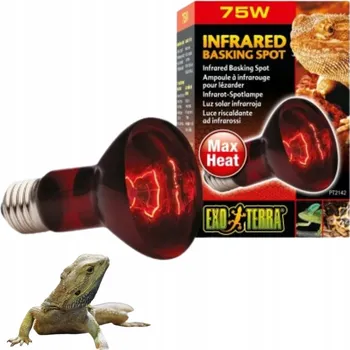 Osvětlení do terária Žárovka Exo-Terra Intense Basking Spot 100 W