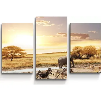 Obraz Sablio Obraz - 3-dílný Safari - 75x50 cm