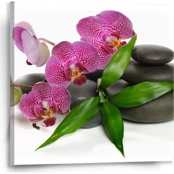 Obraz Sablio Obraz Orchideje a kameny - 50x50 cm