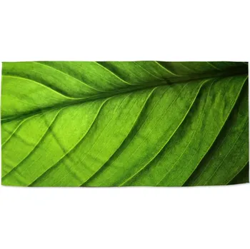 Osuška Sablio Ručník List - 30x50 cm