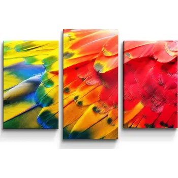 Obraz Sablio Obraz - 3-dílný Barevné peří 2 - 75x50 cm
