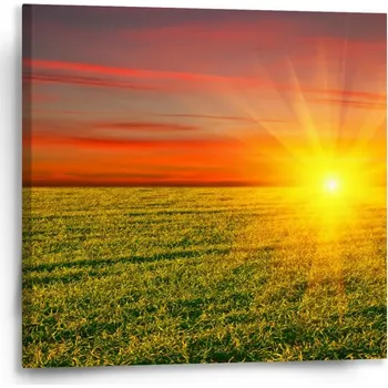 Obraz Sablio Obraz Západ slunce nad loukou - 50x50 cm