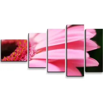 Obraz Sablio Obraz - 5-dílný Růžová gerbera - 100x60 cm