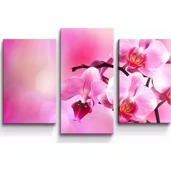 Obraz Sablio Obraz - 3-dílný Květy orchideje - 75x50 cm