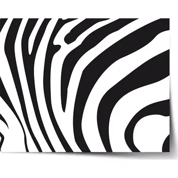 Plakát Sablio Plakát Vzor zebry - 60x40 cm