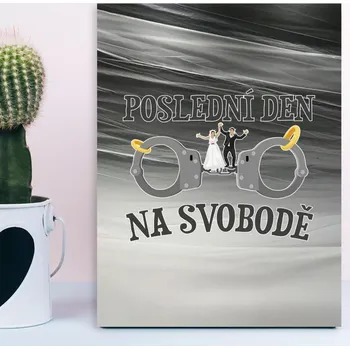 Plechová cedule Sablio Dárková cedulka Poslední den na svobodě: 30x40 cm