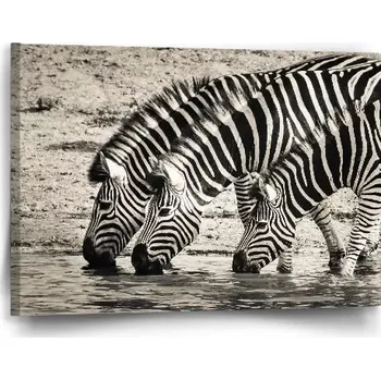 Obraz Sablio Obraz Zebry u vody - 60x40 cm