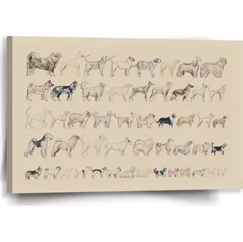 Obraz Sablio Obraz Psí plemena - 60x40 cm