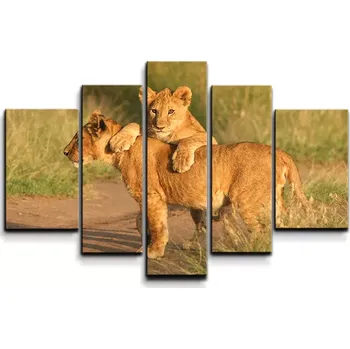 Obraz Sablio Obraz - 5-dílný Lvíčata - 125x90 cm