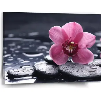 Obraz Sablio Obraz Orchidej - 150x110 cm