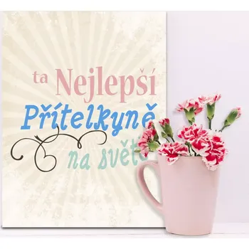 Plechová cedule Sablio Dárková cedulka Ta nejlepší přítelkyně na světě: 30x40 cm