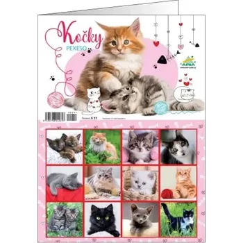 Pexeso Pexeso Kočky (PEX 57 )