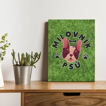 Plechová cedule Sablio Dárková cedulka Milovník psů: 30x40 cm