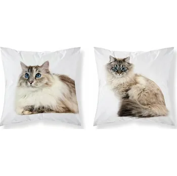 Polštář POVLEČENÍ na polštář KOČKA 40x40 cm KOČKY