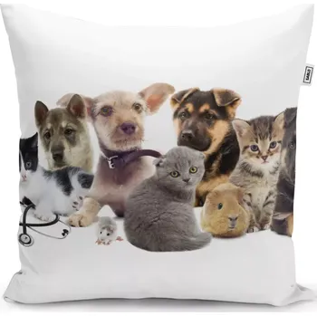 Polštář Sablio Polštář Mláďátka 2 - 40x40 cm