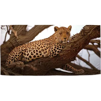 Osuška Sablio Ručník Levhart 2 - 30x50 cm