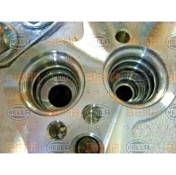 Klimatizace automobilu VYSOUŠEČ KLIMATIZACE [BEHR HELLA]