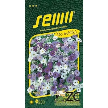 Semeno SEMO VŠELICHA - iberkolistá 0.2 g EXP. 12/2025