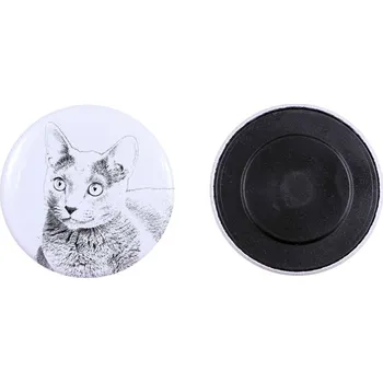 Obraz Ruská modrá kočka – sbírka jedinečných magnetů, vlastní fotografie, má