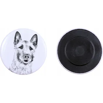 Obraz Laekenois Belgický ovčák - magnet s psím mazlíčkem, extra lehký, síla