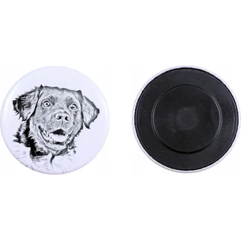 Obraz Fríský ohař (Stabyhoun) - magnet s psím mazlíčkem, extra lehká, silná
