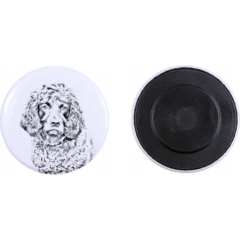 Obraz Boykin španěl - magnet s psím mazlíčkem, výjimečně lehký, silný magnet, pro