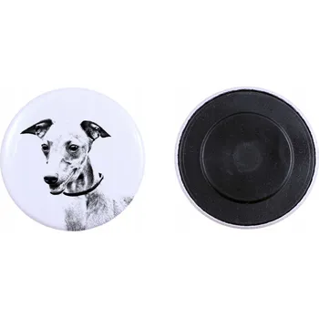 Obraz Africký chrt, Azavak - magnet s psím mazlíčkem, výjimečně lehká, silná