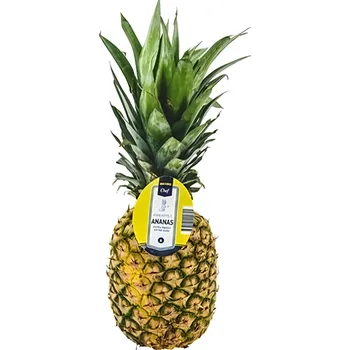 Ovoce Metro Chef Ananas Sweets Gold 1.6kg