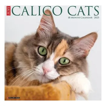 Kalendář Calico Cats 2026 12 X 12 Wall Calendar (Brožovaná)